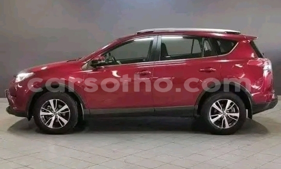 اشتري مستعمل Toyota RAV4 Red سيارة في Maseru في Maseru اشتري مستعمل Toyota RAV4 Red سيارة في Maseru في Maseru