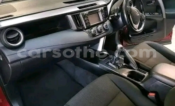 اشتري مستعمل Toyota RAV4 Red سيارة في Maseru في Maseru اشتري مستعمل Toyota RAV4 Red سيارة في Maseru في Maseru