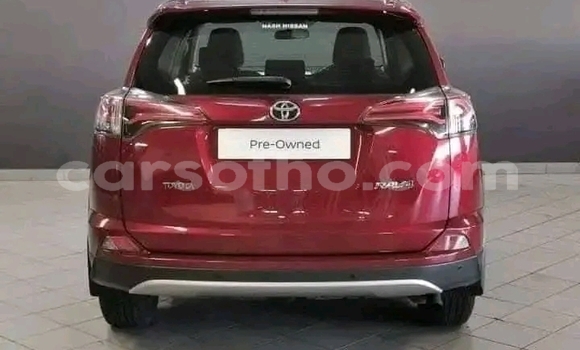 اشتري مستعمل Toyota RAV4 Red سيارة في Maseru في Maseru اشتري مستعمل Toyota RAV4 Red سيارة في Maseru في Maseru