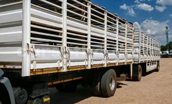 Buy Used Volkswagen XL1 White Car in Maseru in Maseru Buy Used Volkswagen XL1 White Car in Maseru in Maseru