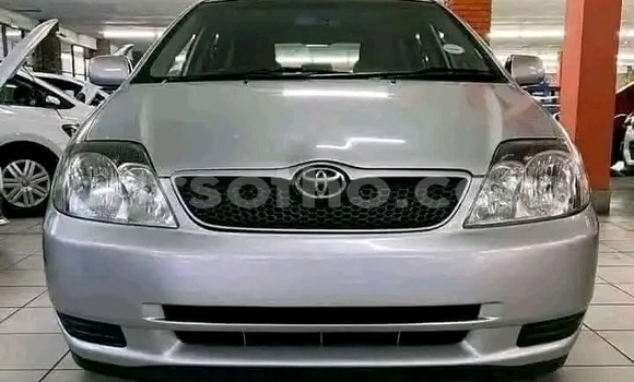 Acheter Occasion Voiture Toyota Runx Gris à Maseru, Maseru
