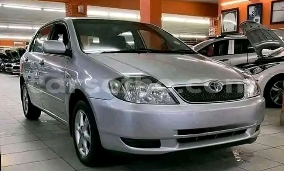 Acheter Occasion Voiture Toyota Runx Gris à Maseru, Maseru Acheter Occasion Voiture Toyota Runx Gris à Maseru, Maseru