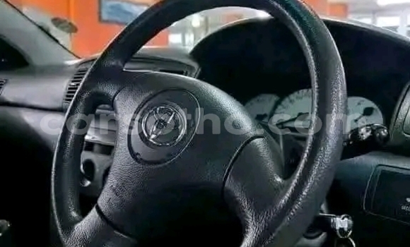 Acheter Occasion Voiture Toyota Runx Gris à Maseru, Maseru Acheter Occasion Voiture Toyota Runx Gris à Maseru, Maseru