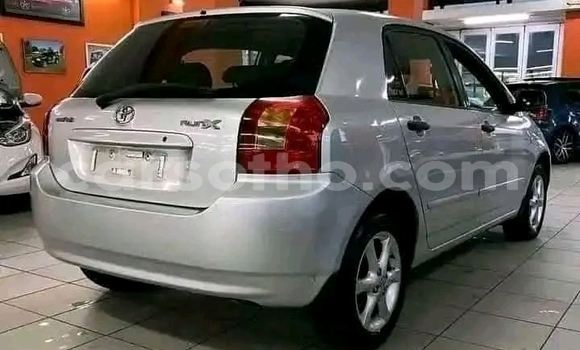 Acheter Occasion Voiture Toyota Runx Gris à Maseru, Maseru Acheter Occasion Voiture Toyota Runx Gris à Maseru, Maseru