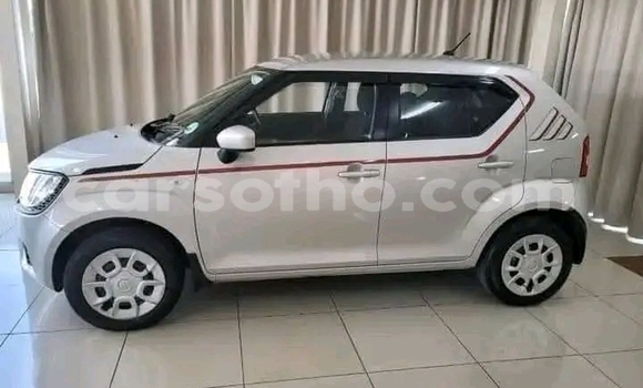 Buy Used Suzuki Ignis White Car in Maseru in Maseru Buy Used Suzuki Ignis White Car in Maseru in Maseru