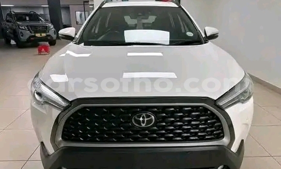 اشتري مستعمل Toyota Corolla Cross White سيارة في Maseru في Maseru