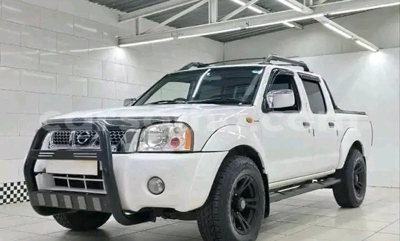 اشتري مستعمل Nissan NP 300 White سيارة في Maseru في Maseru اشتري مستعمل Nissan NP 300 White سيارة في Maseru في Maseru