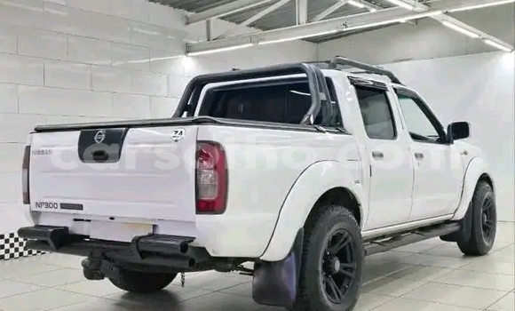 اشتري مستعمل Nissan NP 300 White سيارة في Maseru في Maseru اشتري مستعمل Nissan NP 300 White سيارة في Maseru في Maseru