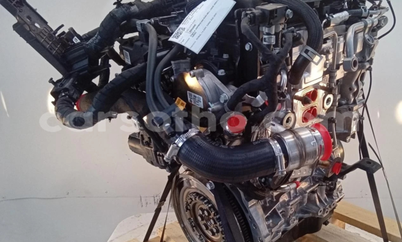 اشتري 2021 KIA SPORTAGE 1.6L في Maseru في Maseru اشتري 2021 KIA SPORTAGE 1.6L في Maseru في Maseru