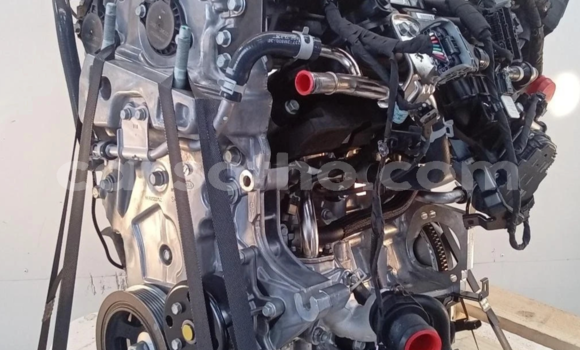 اشتري 2021 KIA SPORTAGE 1.6L في Maseru في Maseru اشتري 2021 KIA SPORTAGE 1.6L في Maseru في Maseru