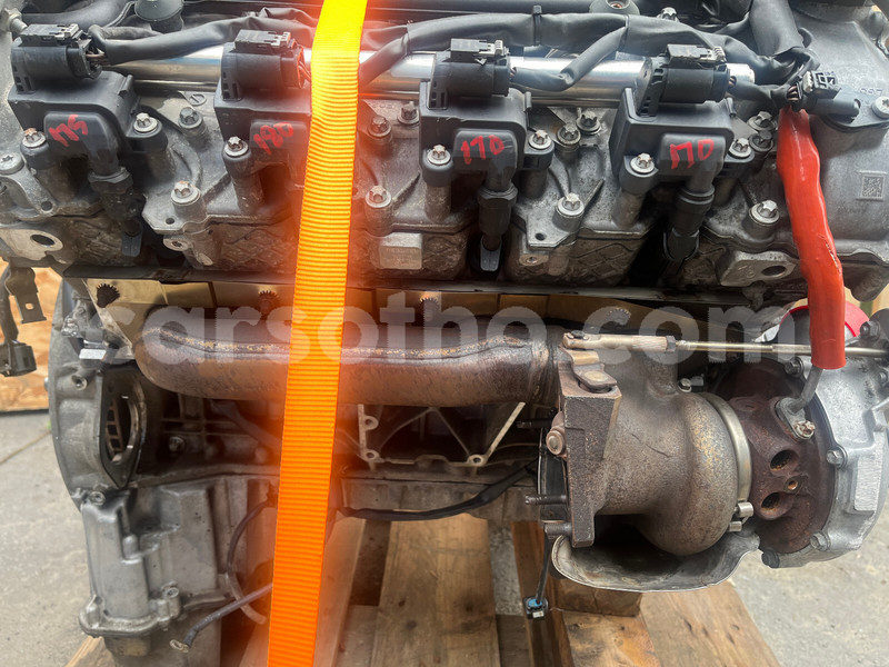 Big with watermark h