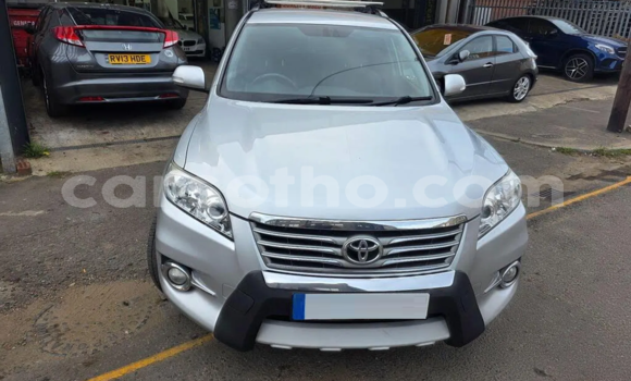 اشتري مستعمل Toyota RAV4 Silver سيارة في Maseru في Maseru اشتري مستعمل Toyota RAV4 Silver سيارة في Maseru في Maseru