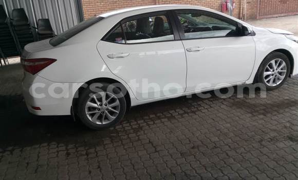 Acheter Occasion Voiture Toyota Corolla Blanc à Maseru, Maseru Acheter Occasion Voiture Toyota Corolla Blanc à Maseru, Maseru