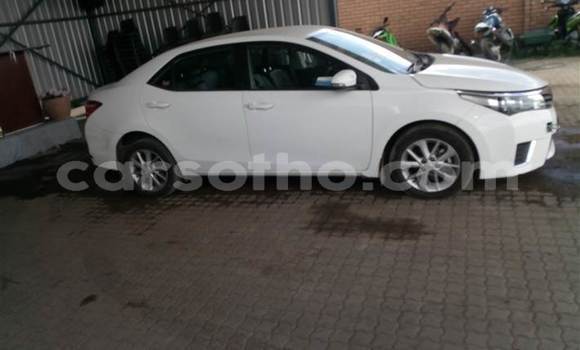 Acheter Occasion Voiture Toyota Corolla Blanc à Maseru, Maseru Acheter Occasion Voiture Toyota Corolla Blanc à Maseru, Maseru
