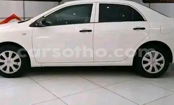 Acheter Occasion Voiture Toyota Corolla Blanc à Maseru, Maseru Acheter Occasion Voiture Toyota Corolla Blanc à Maseru, Maseru