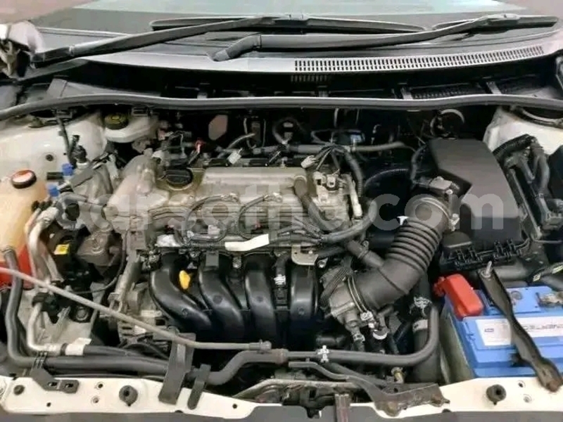 Big with watermark toyota corolla maseru maseru 30432