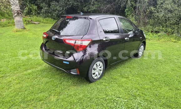 اشتري مستعمل Toyota Vitz Black سيارة في Maseru في Maseru اشتري مستعمل Toyota Vitz Black سيارة في Maseru في Maseru