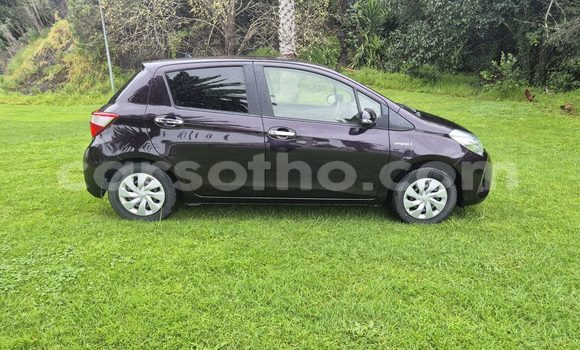اشتري مستعمل Toyota Vitz Black سيارة في Maseru في Maseru اشتري مستعمل Toyota Vitz Black سيارة في Maseru في Maseru