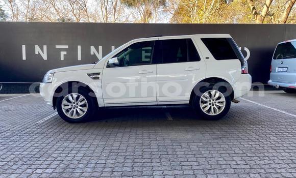 اشتري مستعمل Land Rover Freelander White سيارة في Maseru في Maseru اشتري مستعمل Land Rover Freelander White سيارة في Maseru في Maseru