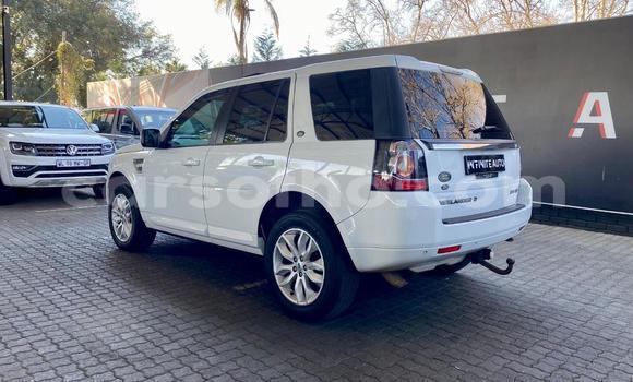 اشتري مستعمل Land Rover Freelander White سيارة في Maseru في Maseru اشتري مستعمل Land Rover Freelander White سيارة في Maseru في Maseru