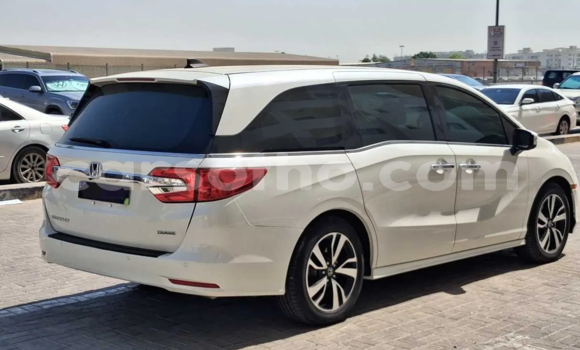 اشتري مستعمل Honda Odyssey White سيارة في Maseru في Maseru اشتري مستعمل Honda Odyssey White سيارة في Maseru في Maseru