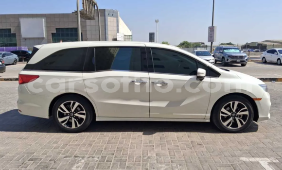 اشتري مستعمل Honda Odyssey White سيارة في Maseru في Maseru اشتري مستعمل Honda Odyssey White سيارة في Maseru في Maseru
