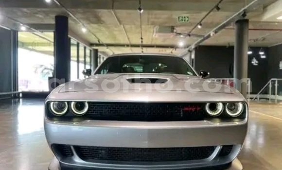 Buy Used Dodge Challenger Silver Car in Maseru in Maseru