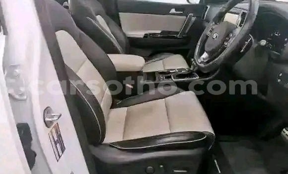 Acheter Occasion Voiture Renault Megane RS Autre à Maseru, Maseru Acheter Occasion Voiture Renault Megane RS Autre à Maseru, Maseru