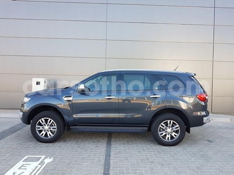 Big with watermark 800 315