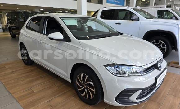 Buy Used Volkswagen Polo White Car in Mafeteng in Mafeteng Buy Used Volkswagen Polo White Car in Mafeteng in Mafeteng