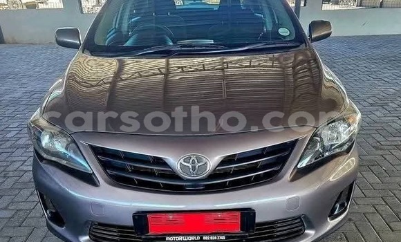 Buy Used Toyota Corolla Other Car in Butha Buthe in Butha-Buthe Buy Used Toyota Corolla Other Car in Butha Buthe in Butha-Buthe