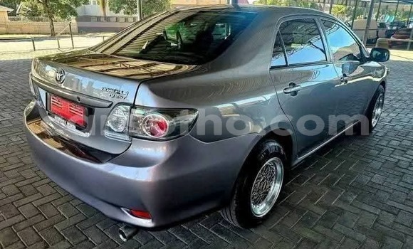 Buy Used Toyota Corolla Other Car in Butha Buthe in Butha-Buthe Buy Used Toyota Corolla Other Car in Butha Buthe in Butha-Buthe