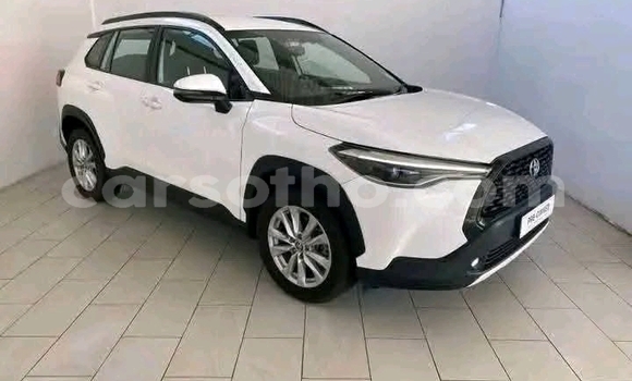 اشتري مستعمل Toyota Corolla Cross White سيارة في Maseru في Maseru اشتري مستعمل Toyota Corolla Cross White سيارة في Maseru في Maseru