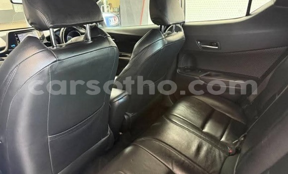 Buy Used Toyota C-HR White Car in Maseru in Maseru Buy Used Toyota C-HR White Car in Maseru in Maseru