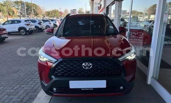 Sayi Na hannu Toyota Corolla Cross Red Mota in Peka a Leribe Sayi Na hannu Toyota Corolla Cross Red Mota in Peka a Leribe