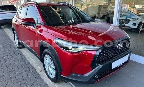 Buy Used Toyota Corolla Cross Red Car in Peka in Leribe Buy Used Toyota Corolla Cross Red Car in Peka in Leribe