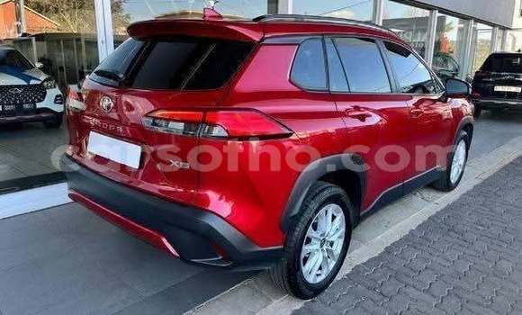 Buy Used Toyota Corolla Cross Red Car in Peka in Leribe Buy Used Toyota Corolla Cross Red Car in Peka in Leribe