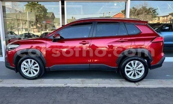 Buy Used Toyota Corolla Cross Red Car in Peka in Leribe Buy Used Toyota Corolla Cross Red Car in Peka in Leribe
