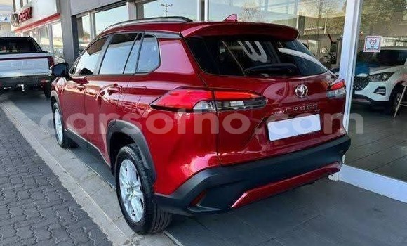 Buy Used Toyota Corolla Cross Red Car in Peka in Leribe Buy Used Toyota Corolla Cross Red Car in Peka in Leribe