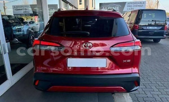 Buy Used Toyota Corolla Cross Red Car in Peka in Leribe Buy Used Toyota Corolla Cross Red Car in Peka in Leribe
