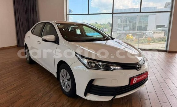 Buy Used Toyota Corolla White Car in Peka in Leribe Buy Used Toyota Corolla White Car in Peka in Leribe