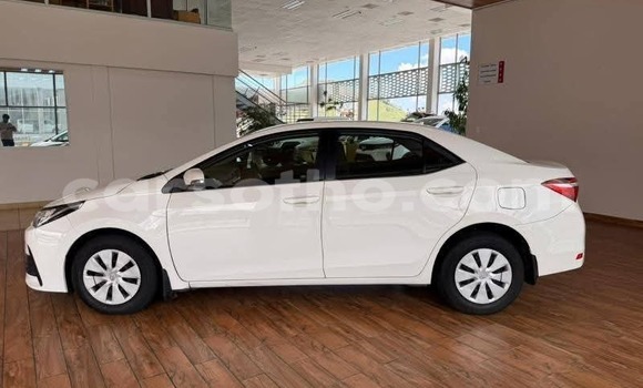 Buy Used Toyota Corolla White Car in Peka in Leribe Buy Used Toyota Corolla White Car in Peka in Leribe