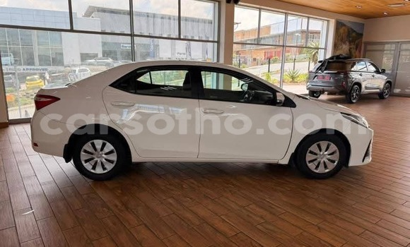 Buy Used Toyota Corolla White Car in Peka in Leribe Buy Used Toyota Corolla White Car in Peka in Leribe