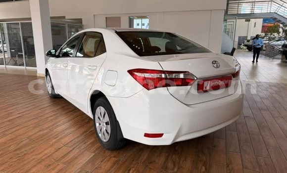 Buy Used Toyota Corolla White Car in Peka in Leribe Buy Used Toyota Corolla White Car in Peka in Leribe