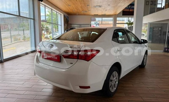 Buy Used Toyota Corolla White Car in Peka in Leribe Buy Used Toyota Corolla White Car in Peka in Leribe