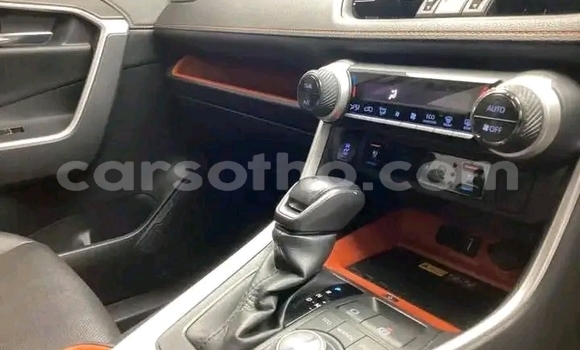 Buy Used Toyota RAV4 Red Car in Maseru in Maseru Buy Used Toyota RAV4 Red Car in Maseru in Maseru