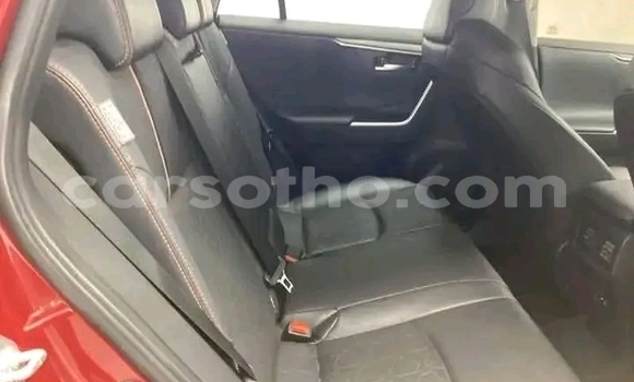Buy Used Toyota RAV4 Red Car in Maseru in Maseru Buy Used Toyota RAV4 Red Car in Maseru in Maseru