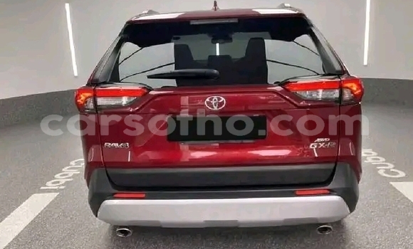 Buy Used Toyota RAV4 Red Car in Maseru in Maseru Buy Used Toyota RAV4 Red Car in Maseru in Maseru