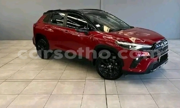 Buy Used Toyota Corolla Cross Red Car in Maseru in Maseru Buy Used Toyota Corolla Cross Red Car in Maseru in Maseru