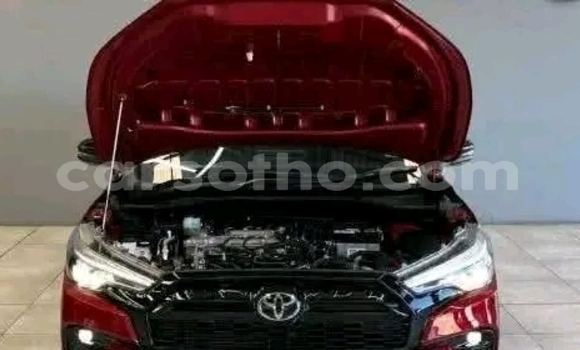 Buy Used Toyota Corolla Cross Red Car in Maseru in Maseru Buy Used Toyota Corolla Cross Red Car in Maseru in Maseru